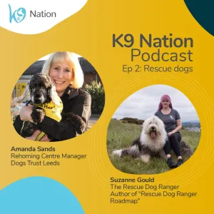Edinburgh Holistic Dogs K9 Nation podcast