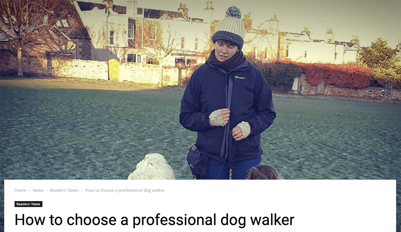 how to choose a professional dog walker