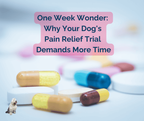 Image showcasing She was wandering the streets in unbearable pain... ... - Facebook