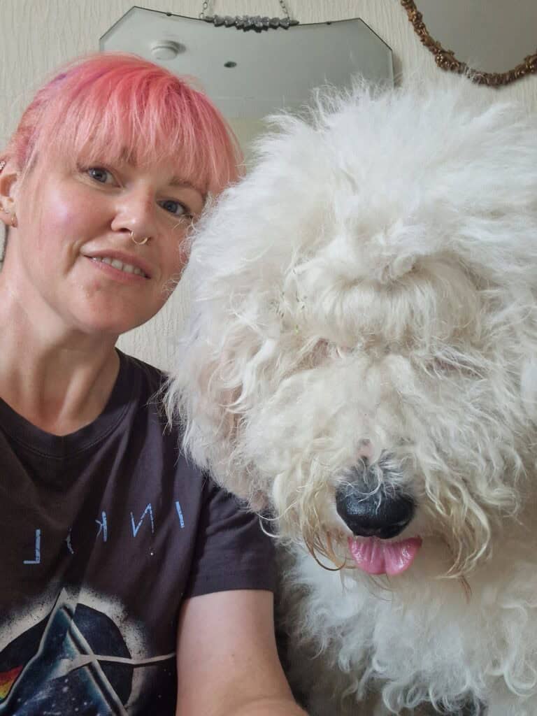 Help for Owners of Reactive Dogs in Edinburgh